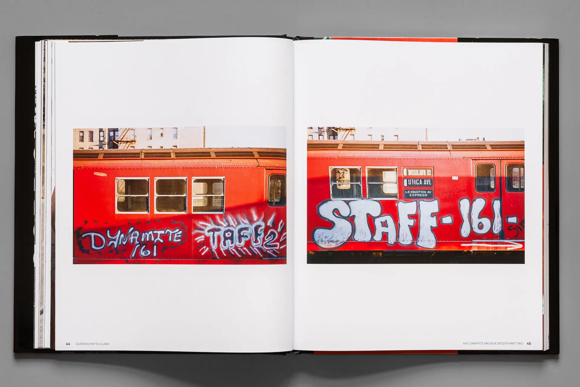 【送料無料】Gordon Matta-Clark Amazon | Gordon Matta-Clark | Matta-Clark, Gordon, Fusi