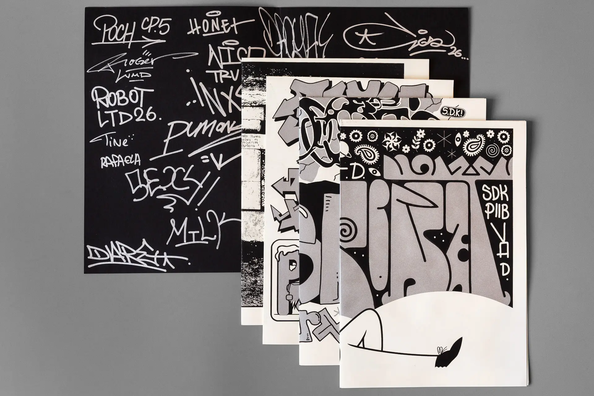 The-Grey-Zone-La-Zone-Grise-4
